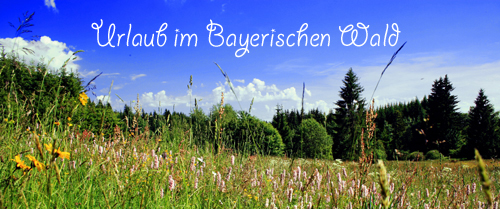 Wellnessurlaub im Bayerischen Wald